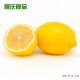 正宗南非柠檬 新鲜进口水果 柠檬水果 合肥柠檬批发零售 30斤净重