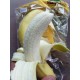 进口水果批发 菲律宾香蕉/超甜蕉 整箱