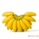 批发销售 菲律宾进口香蕉 营养多多香糯帝王蕉