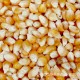 优质爆裂玉米 小玉米 爆米花专用玉米粒  25kg/件  量大从优