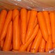 供应优质胡萝卜 常年出口胡萝卜 欢迎订购