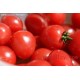 圣女果 小番茄 水果番茄 基地直供 口感极佳