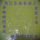 黑龙江原生态小米东北特产小米子 坐月子米500g 代理加盟批发价格