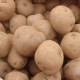 大凉山红皮黄心土豆   延缓衰老 增强体质 新鲜优质土豆批发