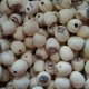 志川食品经典批发 供应优质养身食品去芯莲子甜而不腻15年新品