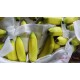 【菲律宾-香蕉-进口】 箱装26~28斤￥90.0元