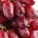 【俊鑫果品】山东烟台葡萄 红提 提子 葡萄 新鲜水果美味健康