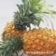 海南菠萝 凤梨菠萝 海南特产 热带水果  新鲜好吃  批发顺丰空运