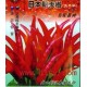C322蔬菜种子 辣椒 彩袋  新一代三鹰椒种子（7克）