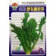 寿光蔬菜种子 野生刺老芽种子 刺嫩芽 野菜 特菜 有机食品 0.5g