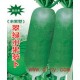 山东特菜：黄河脆 水果萝卜 鲜食萝卜 8月-9月播种 10g