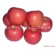 批量加工、出口保鲜短枝片红红富士苹果，欢迎预定 量大从优