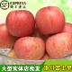 洛川红富士  新鲜苹果 平安果  海南水果 批发 散装 糖心 脆甜