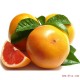 进口水果 台湾西柚/葡萄柚 红心柚子  高档进口水果批发