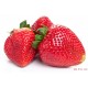 山东奶油草莓 9.5-10斤/箱  ￥9.9元/斤