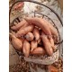 河北雄县新鲜红薯品种138，适合电烤、缸烤、碳烤、超市、市场等