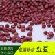 春雷 低温烘焙红豆 优质五谷杂粮红豆 厂家直销 大量批发