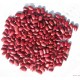 红芸豆，2014年最新红豆，【喜迎元旦】大量低价出售！