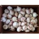 出口级莱芜大蒜 出口非洲 东南亚 中东 南美 欧洲 质量最佳