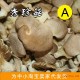 福建秀珍菇干A级南靖食用菌产地直供好品质秀珍菇干150克/17.5元