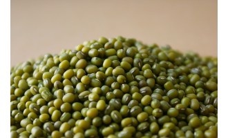 绿豆的高产栽培技术
