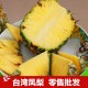 新鲜水果 台湾凤梨品种  基地现摘批发 20斤起 比海南菠萝更香