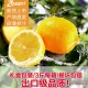 2015新鲜黄柠檬 一级果 现摘批发 安岳柠檬之都产地直销 美白减肥