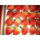 供应好乐新鲜草莓 无公害农产品 益生菌肥栽培 24粒*42盒/箱