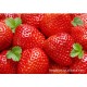 供应草莓 优质有机草莓 产地直销优质无公害草莓（图）