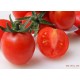 正宗海南紫色圣女果新鲜水果小番茄6斤 樱桃番茄鲜小西红柿