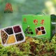 春又生直销组合装鲜野菜盒 新鲜蔬菜 绿色健康批发配送淘宝热销品