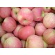 纯天然有机红富士精品苹果  厂家直销特级进口新鲜苹果 欢迎选购