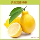 厂家批发 安岳尤力克新鲜一级柠檬 基地绿色环保柠檬