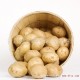 大量批发 新鲜土豆 马铃薯 纯绿色无污染蔬菜 青岛专供 【图】