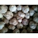 莱芜力丰果蔬公司常年供应出口级大蒜