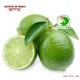 【羊兄弟】1件代发·包邮】顺丰越南青柠檬9个 新鲜进口水果
