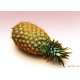 海南乐东尖峰岭特级 金菠萝3-4头 净重10斤 不包邮 凤梨 热带水果
