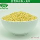 大黄米 供应出口优质精选大黄米 营养健康大黄米原生态大黄米特价