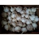 大蒜基地山东莱芜中国大蒜品牌供应出口级莱芜大蒜