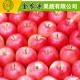 陕西红富士、白水苹果批发、中国苹果之乡白水红富士苹果 高品质