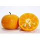 富硒之乡脐橙 红心橙子 新鲜水果18斤 水果橙子批发