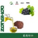 百分之百冷轧工艺 高端品质 葡萄籽油植物油食用油
