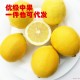 批发现货四川安岳 新鲜黄柠檬  中果一斤4-5个  优质鲜柠檬