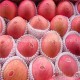 厂家批发正宗精品红富士苹果 优质冰糖心苹果 量大优惠