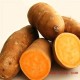 海南新鲜玉薯无公害蔬菜红薯康沙地瓜黄心生白薯黄皮番薯3斤包邮