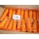 胡萝卜优质出口 找青岛阳光果蔬加工厂 13061336833