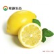 希源 四川安岳黄柠檬10斤 新鲜水果 适合榨汁切片