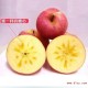 新疆特产 阿克苏冰糖心苹果 一级品质 厂家直销