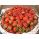 鲜红大草莓批发 新鲜无公害绿色草莓供应出口