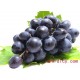 新鲜云南夏黑无核葡萄 最好吃的葡萄 超甜 无子多汁 口味独特